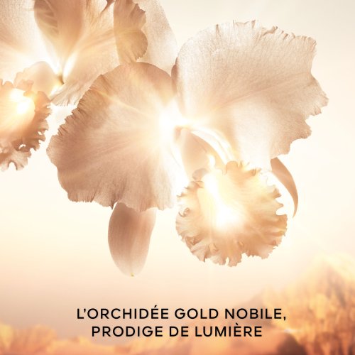GUERLAIN Orchidée Impériale Gold Nobile - Die Creme - Die